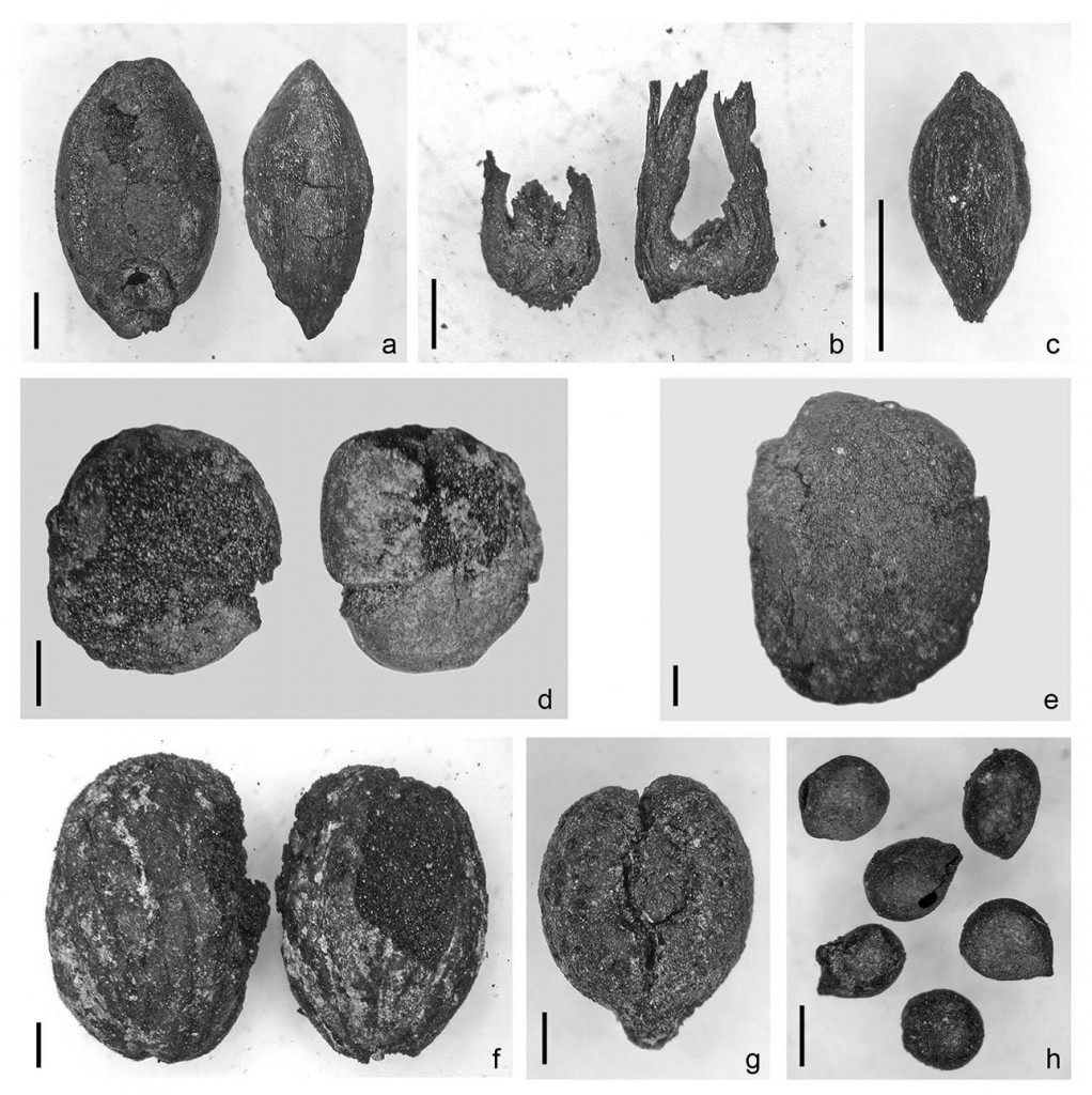 Fig. I.6.3