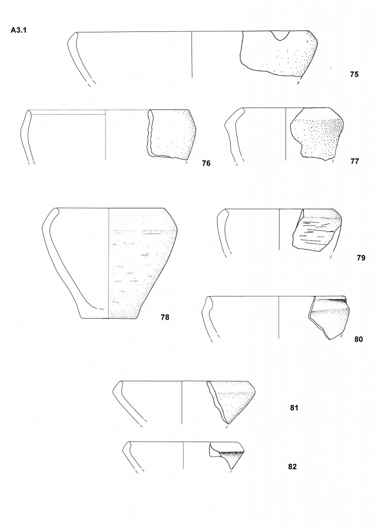 Tav. III.14.