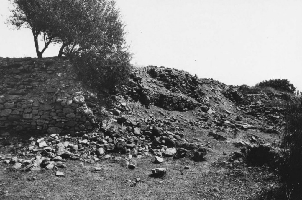 Fig. V.1.3